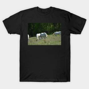 Wild Horses T-Shirt